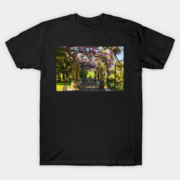 Wisteria Arch T-Shirt by jojobob